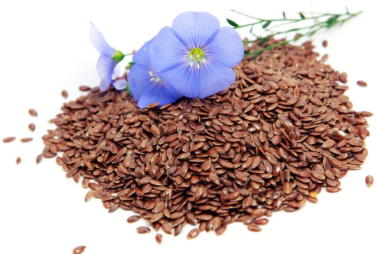 Flax Seeds