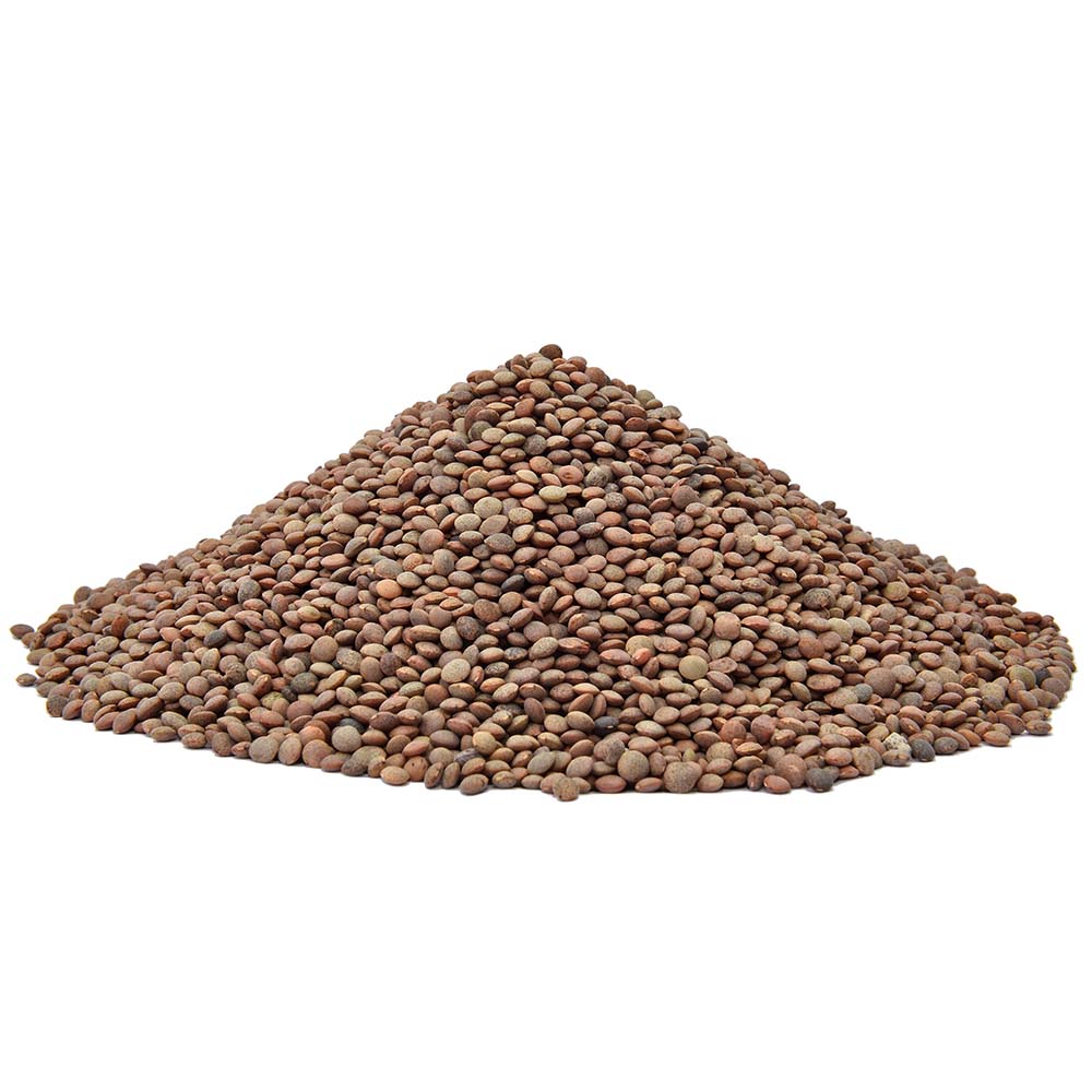 Sabut Masoor (Brown lentil) (Desi)