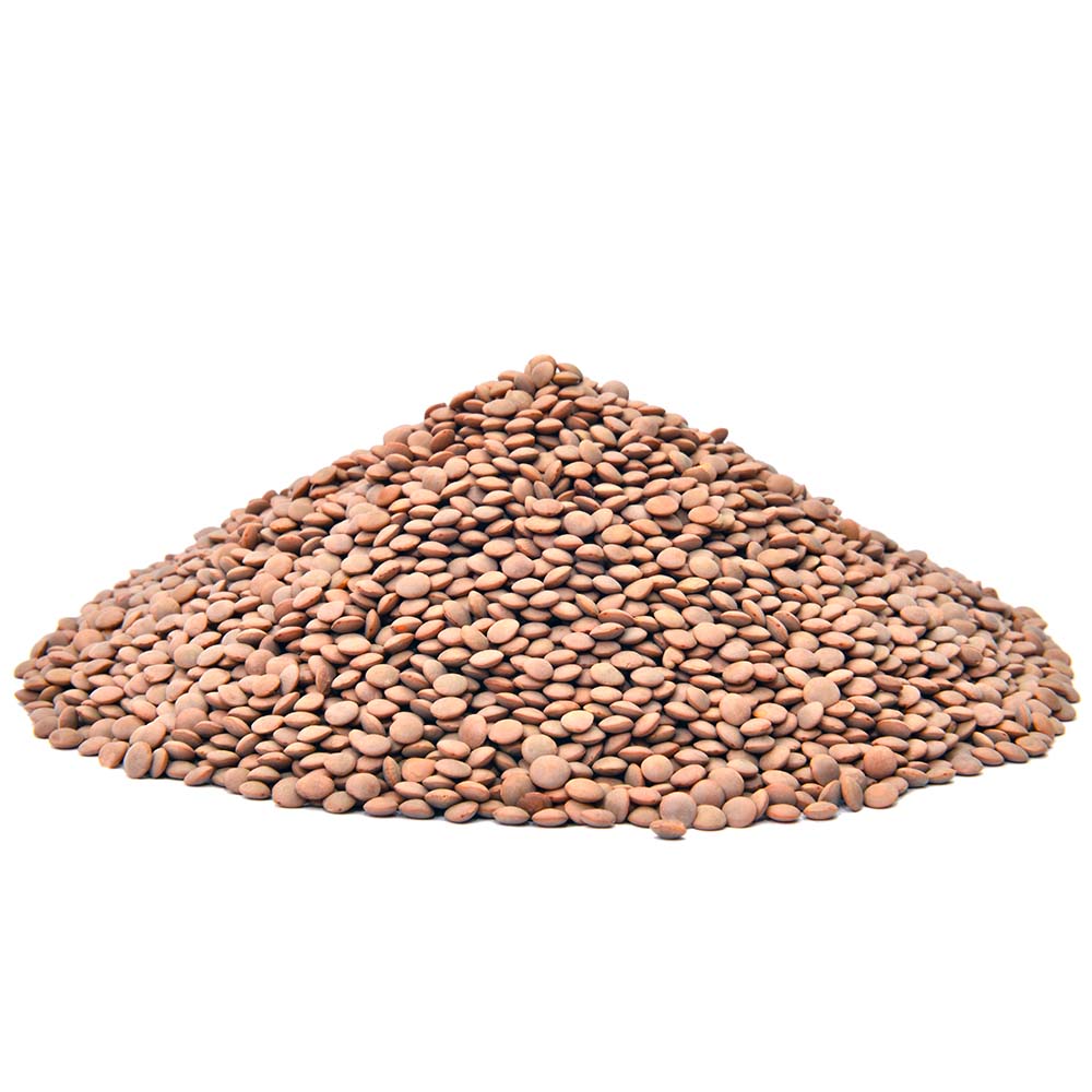 Sabut Masoor (Brown lentil)