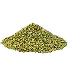 Daal Moong Sabut (Whole green beans)