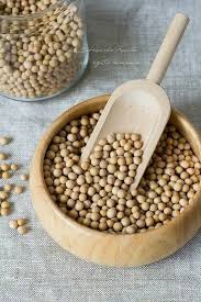 Soyabean Seeds