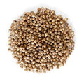 Dhanya Sabut ( Coriander whole)