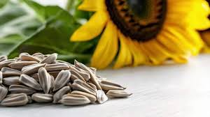 Sunflower Seeds